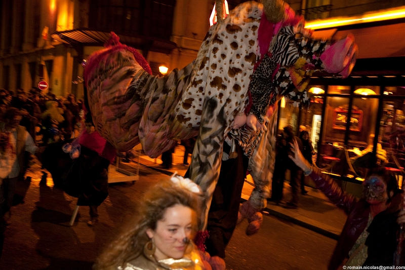 IMG_7647.jpg