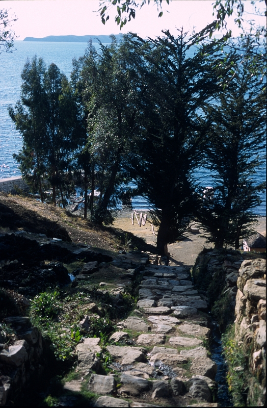 titicaca24.jpg