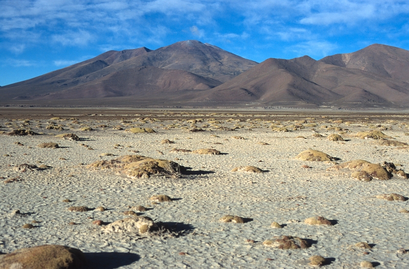 salars01.jpg