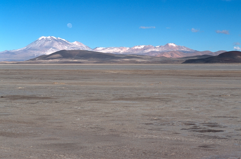 salars02.jpg