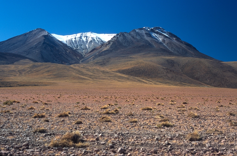 salars08.jpg