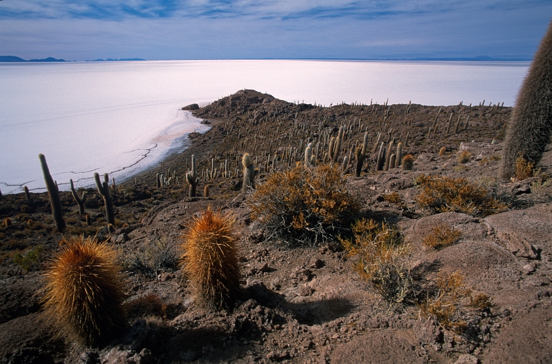 uyuni04.jpg