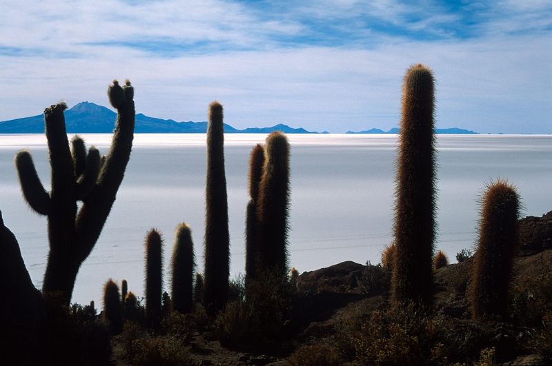 uyuni05.jpg