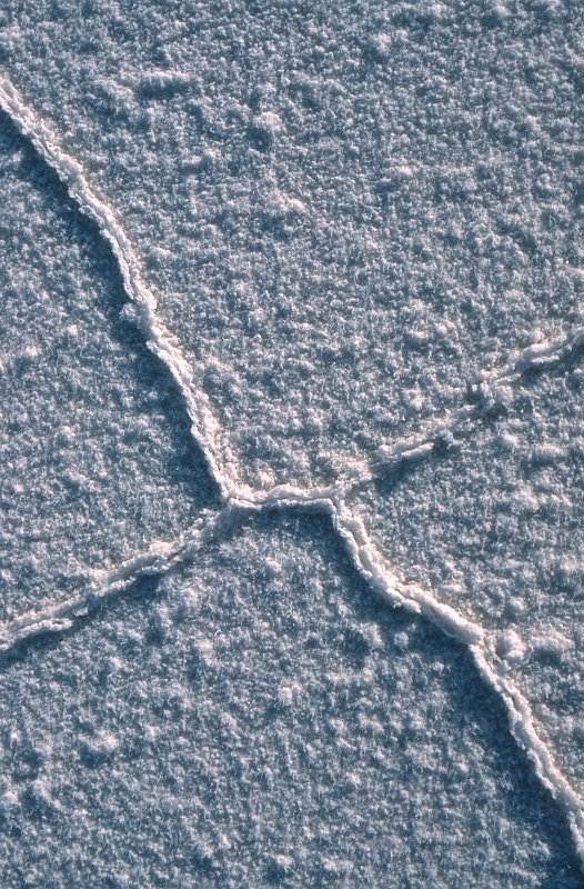 uyuni10.jpg
