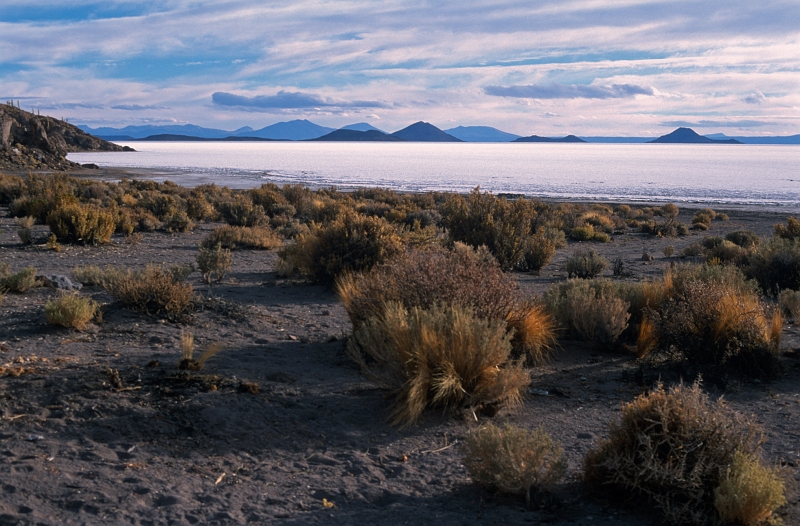 uyuni15.jpg