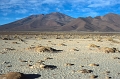 salars01