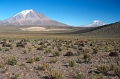 salars05