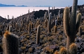 uyuni03