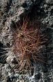 uyuni11