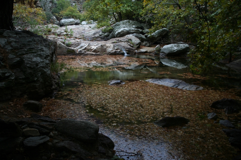IMG_4601.JPG