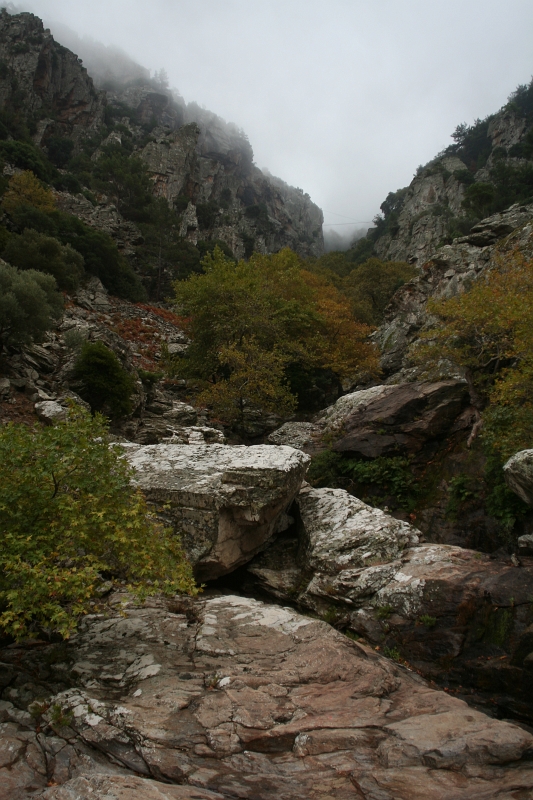 IMG_4612.JPG
