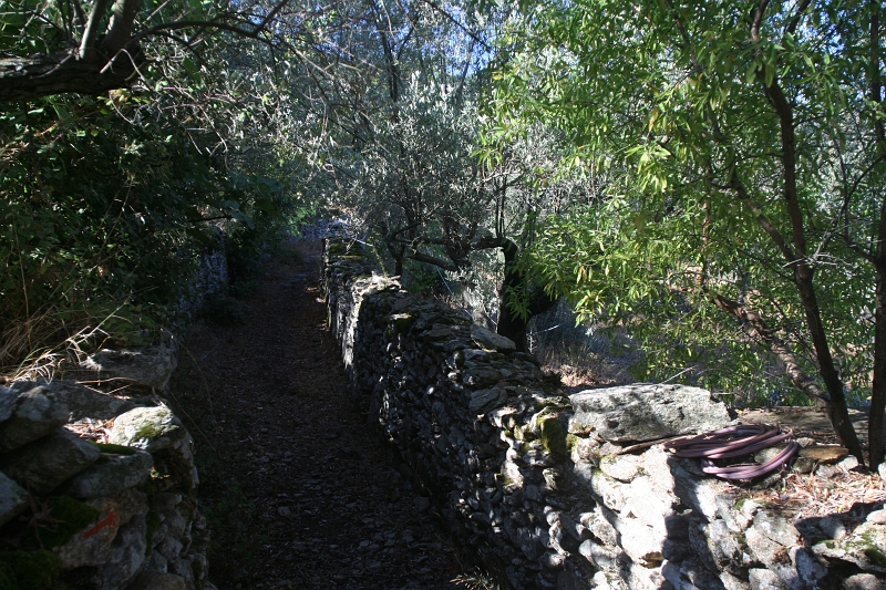IMG_4745.JPG