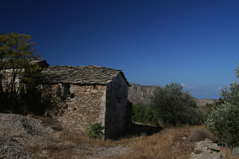 IMG_4749.JPG