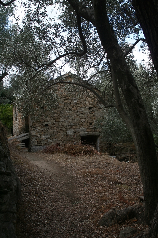 IMG_4787.JPG