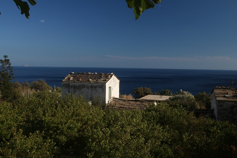 IMG_4872.JPG