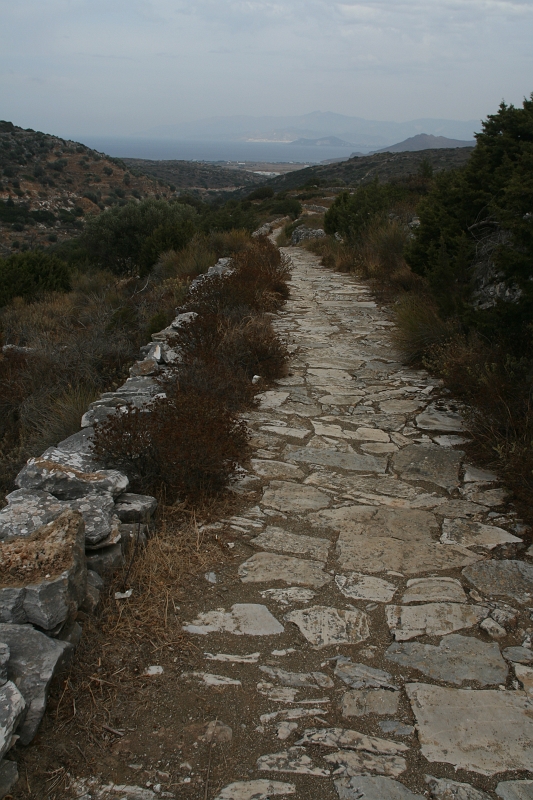 IMG_4506.JPG
