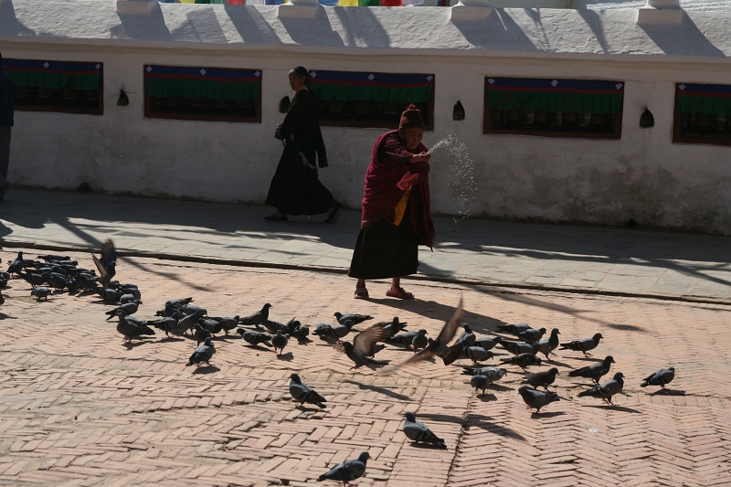 IMG_6178.JPG