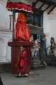 IMG_6129