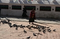 IMG_6178