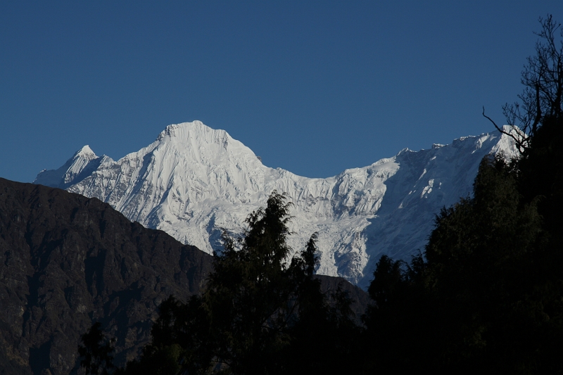 IMG_5511.JPG