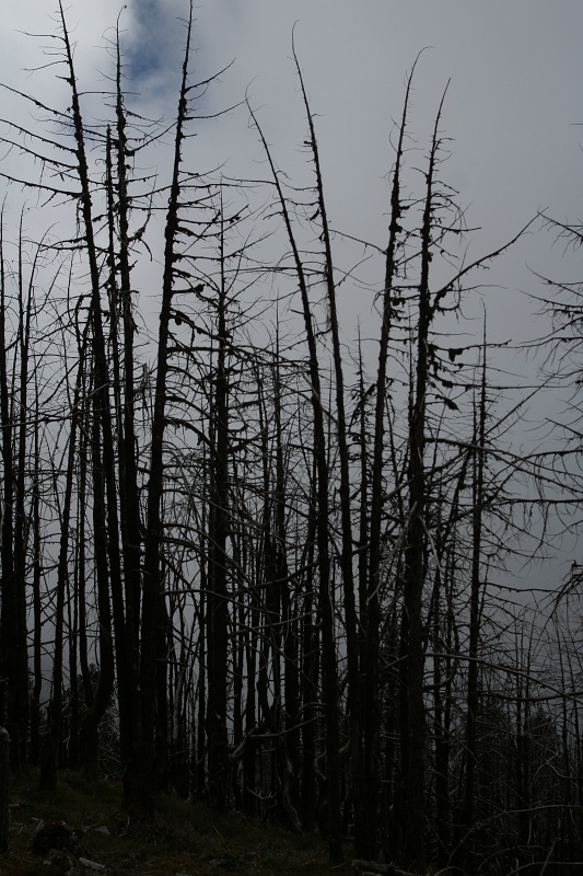 IMG_5587.JPG