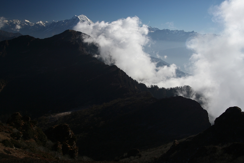 IMG_5685.JPG