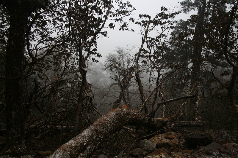 IMG_5778.JPG