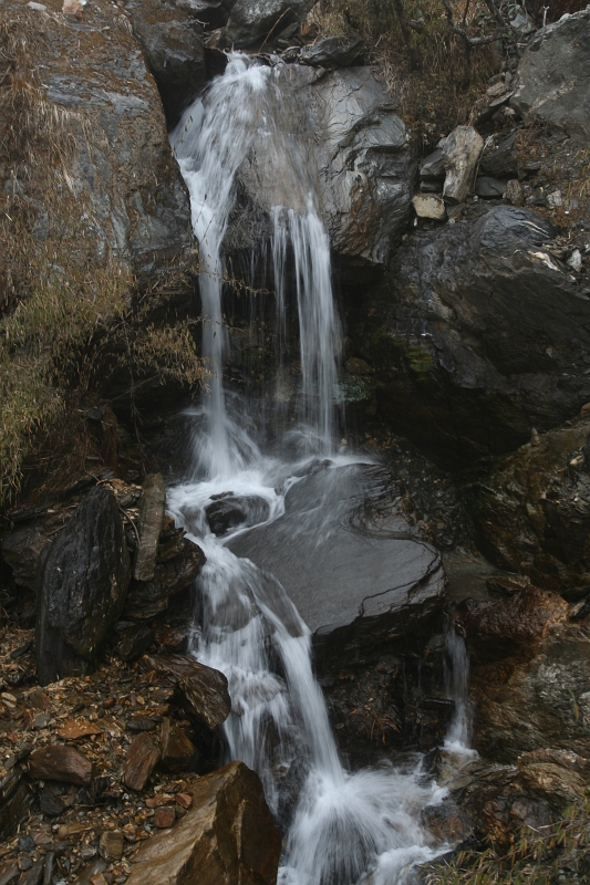 IMG_5787.JPG