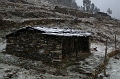 IMG_5803