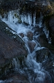 IMG_5989