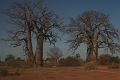 campagne