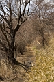 IMG_0715