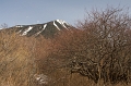 IMG_0740
