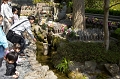 IMG_0319