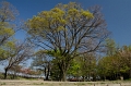 IMG_0895
